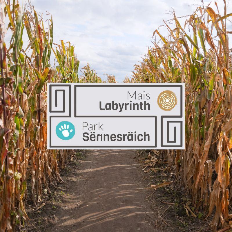 Labyrinthe de maïs
