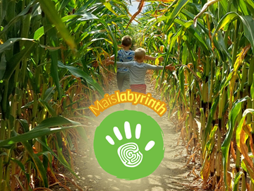 Labyrinthe de maïs