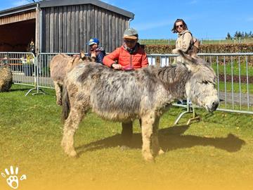 Osterveranstaltung unter freiem Himmel
