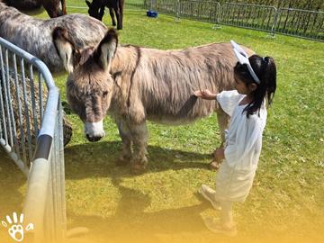Osterveranstaltung unter freiem Himmel